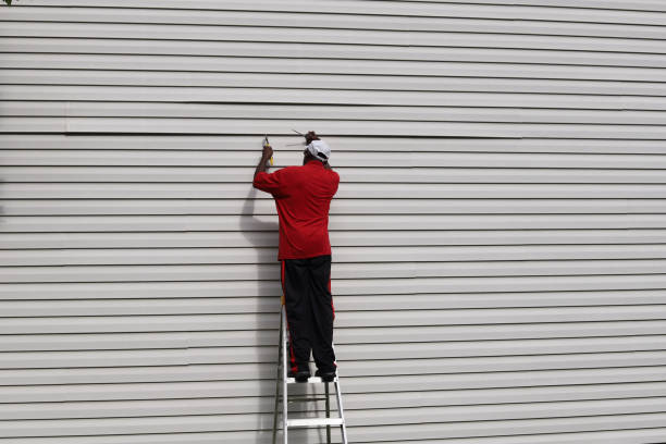 Best Aluminum Siding Installation  in Highland Park, IL